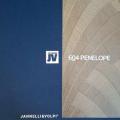 604 Пенелопа / 604 Penelope 