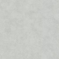 32407