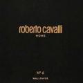 Roberto Cavalli 6