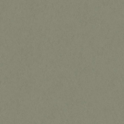 32031