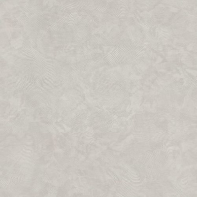 R24331