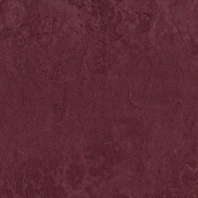 25007