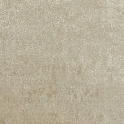 MS10204