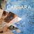 Carrara Best