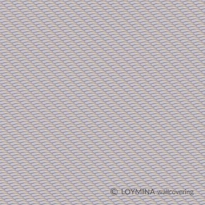 CLR1006