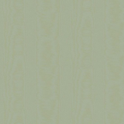 V5005/1