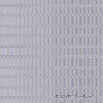 CLR6006