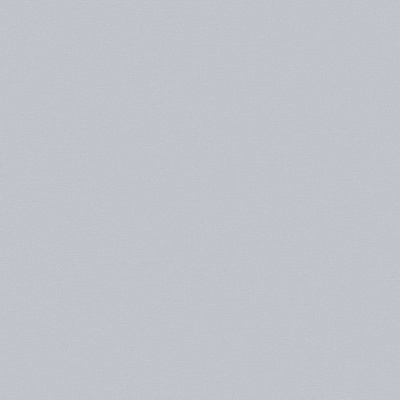 PM13006